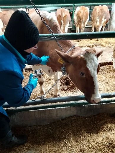 Профилактика особо опасных заболеваний на территории Эртильского района.