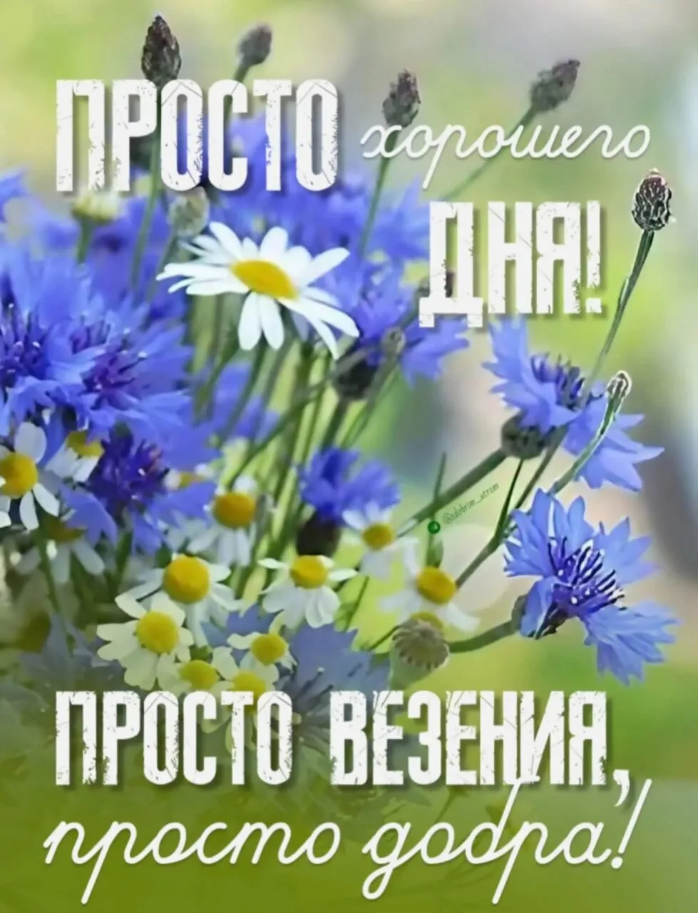 Понравилась открытка? Жми ❤ и делись настроением!