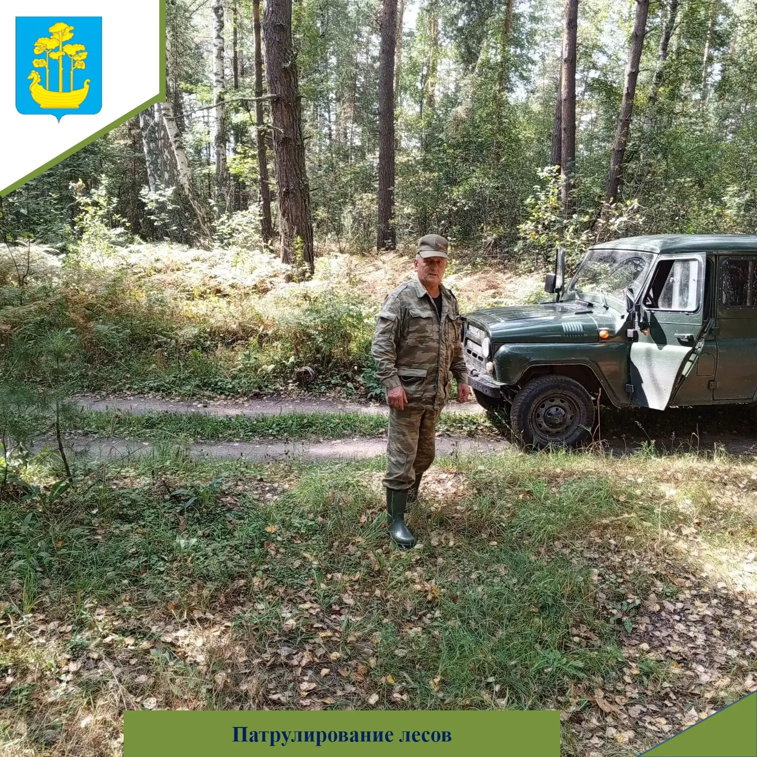 Патрулирование лесов🌲