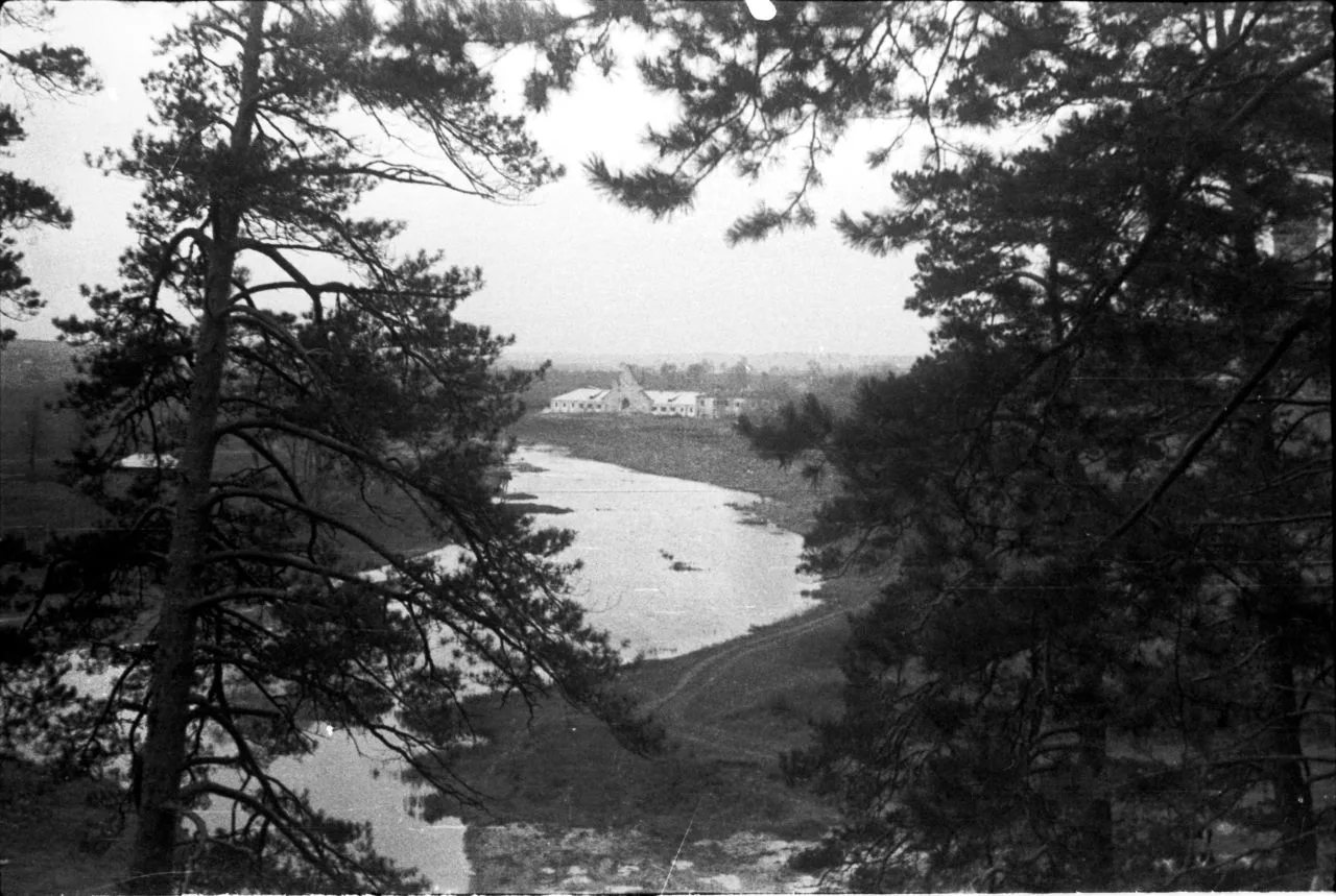 🌲 Вид с кручи над Пахрой на конный двор в Дубровицах. - 📆 1948 г.