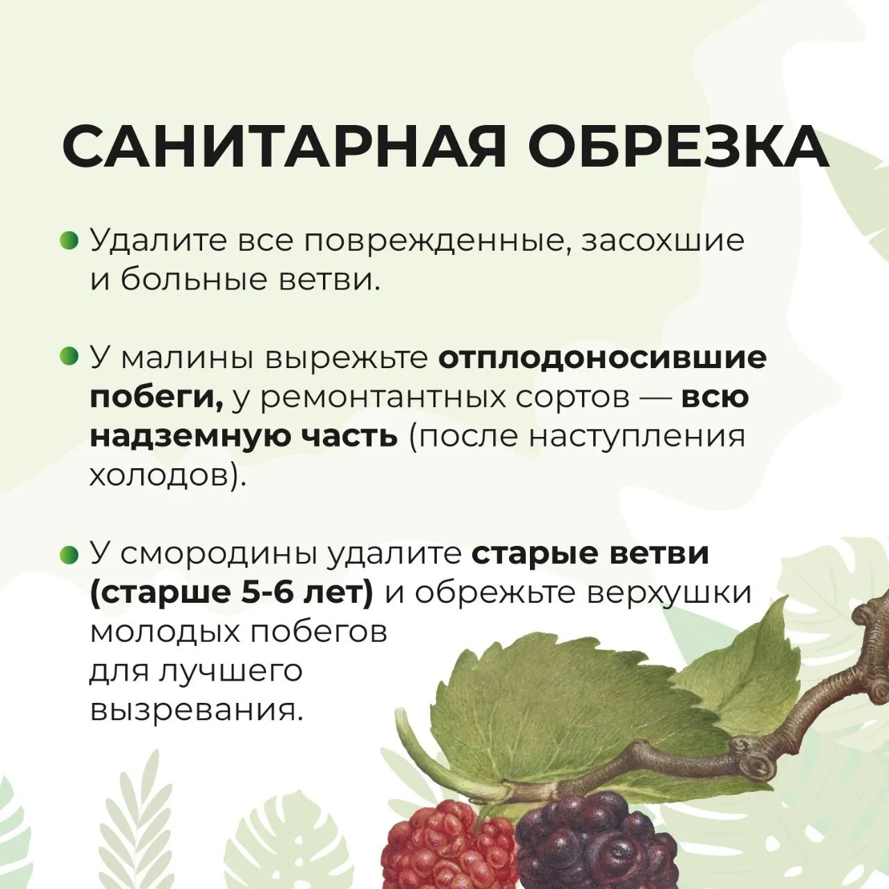 Обрезка осенью!