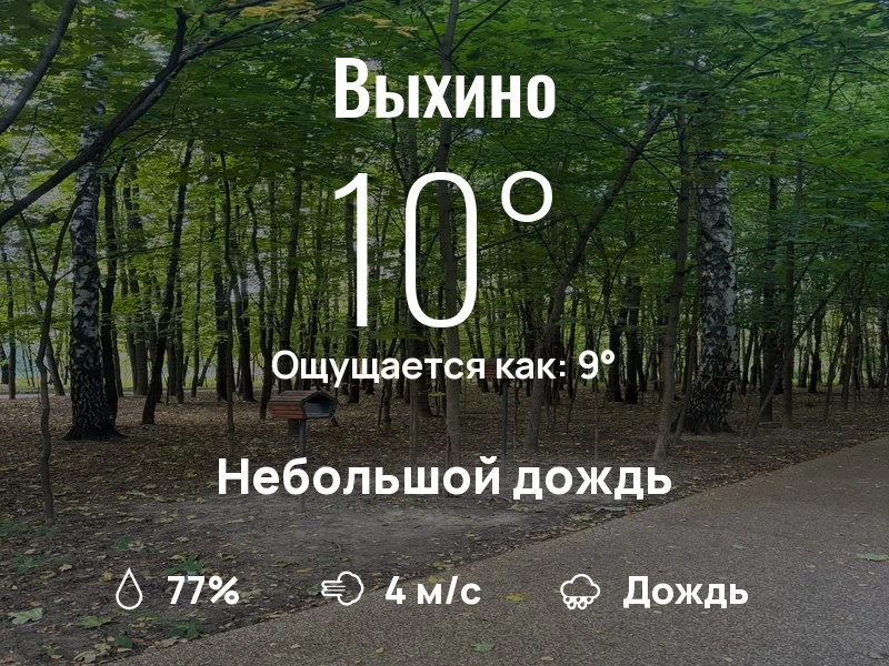 Что с погодой в Выхино?