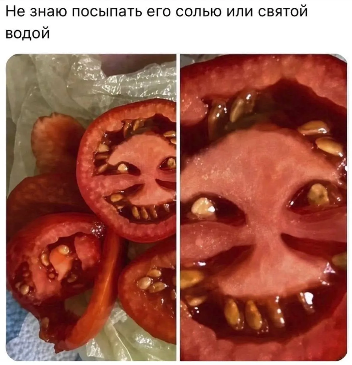 А скидывай смешные фотки урожая – картошки огромные, морковки с ножками и так далее 🥦🥕🥔