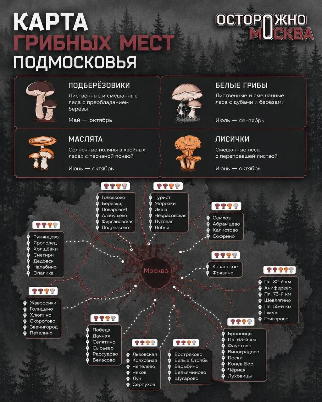 В ТГ "Осторожно Москва" выложили карту грибных мест Подмосковья. По Ярославскому направ...