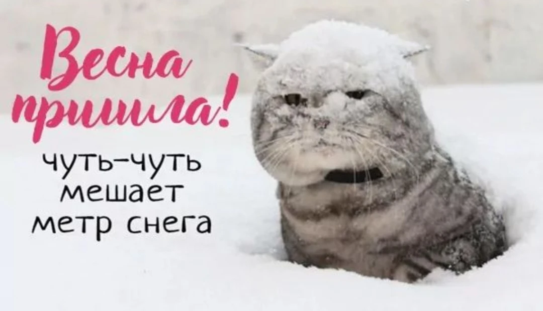 🌷А вот и  весна!