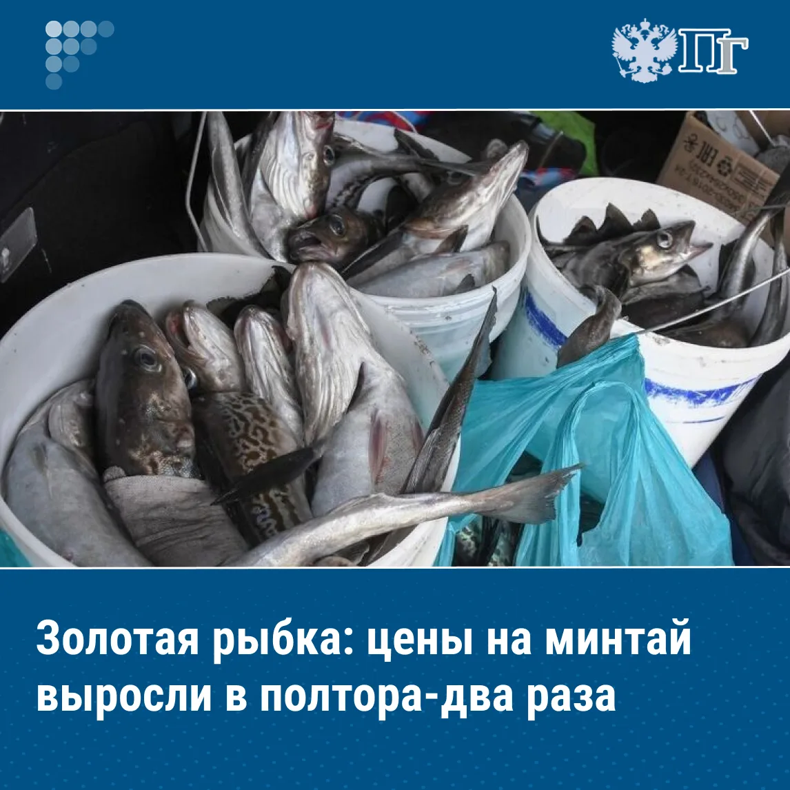 В 2025 году российские рыбаки установили четвертьвековой рекорд по добыче минтая — 2,1 млн тонн.  Од