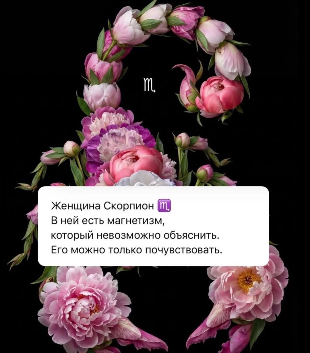 Изображение 1 к публикации «Скорпион»