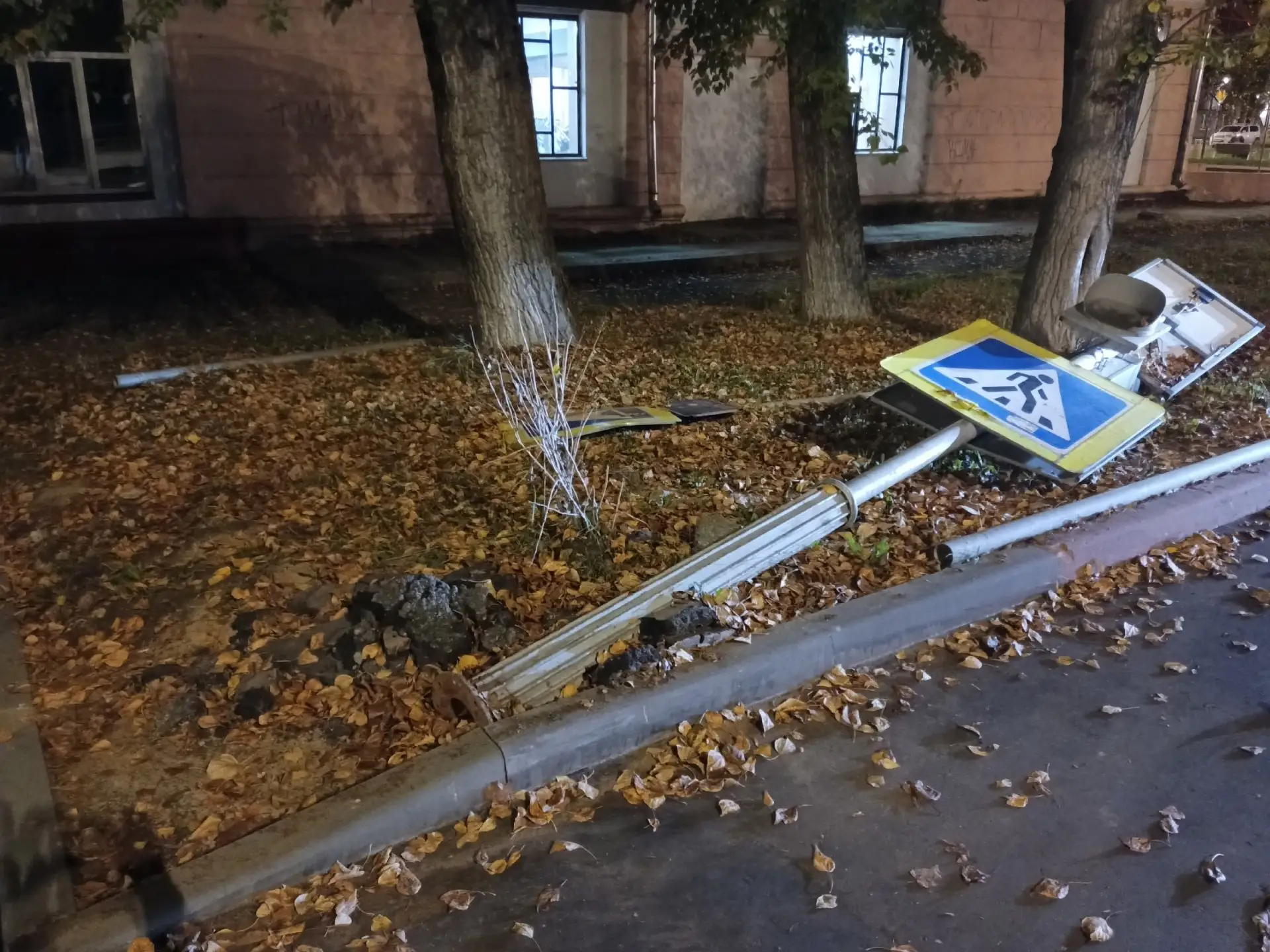 В Хотькове на улице Михеенко возле школы опора и дорожные знаки у пешеходного перехода ...