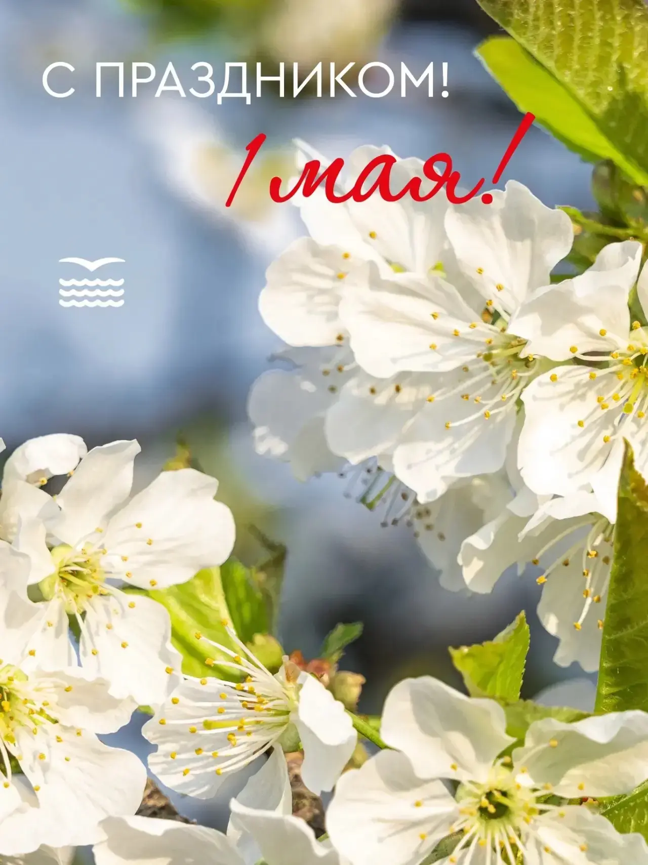 🌷 С Днём Весны и Труда! С 1 Мая! 🌷

От всей души поздравляем с Днём весны и труда! Пусть этот праз
