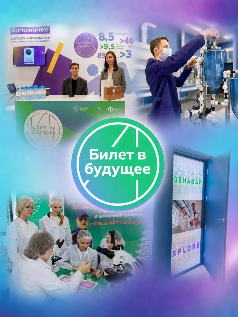 🎯 «Билет в будущее» в Мурманской области стремится охватить 100% школьников региона