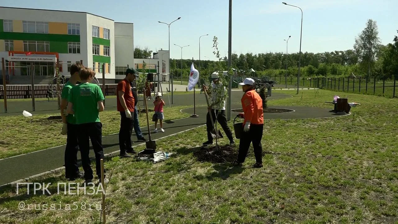 🌳 Пенза присоединилась к всероссийскому проекту «Моя зеленая Россия»  Представители 12 национальных 