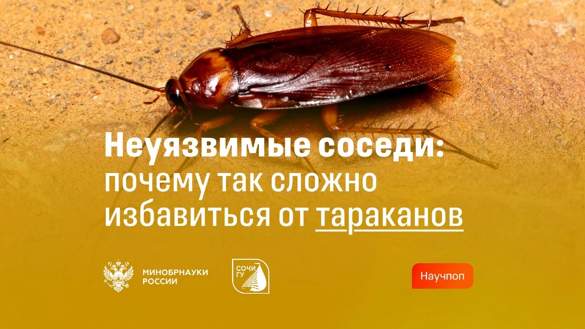 💬 СочиГУ о важном