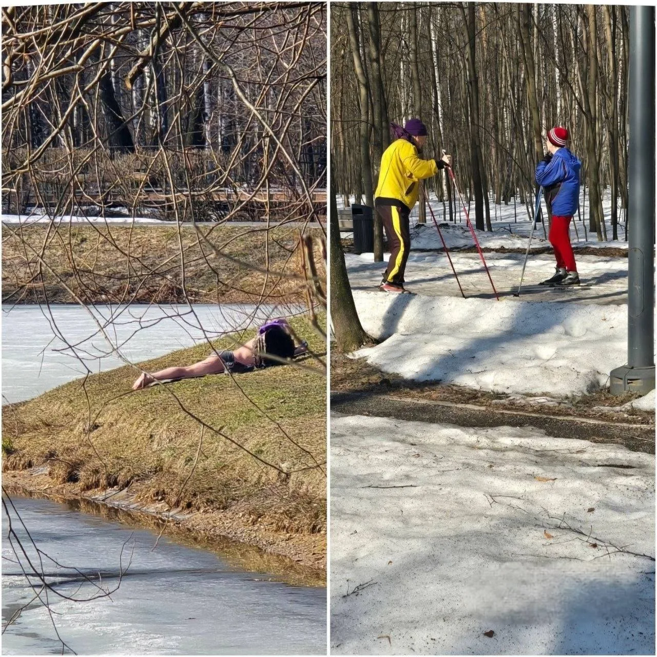 ☀️ Такой разный март в «Сокольниках»