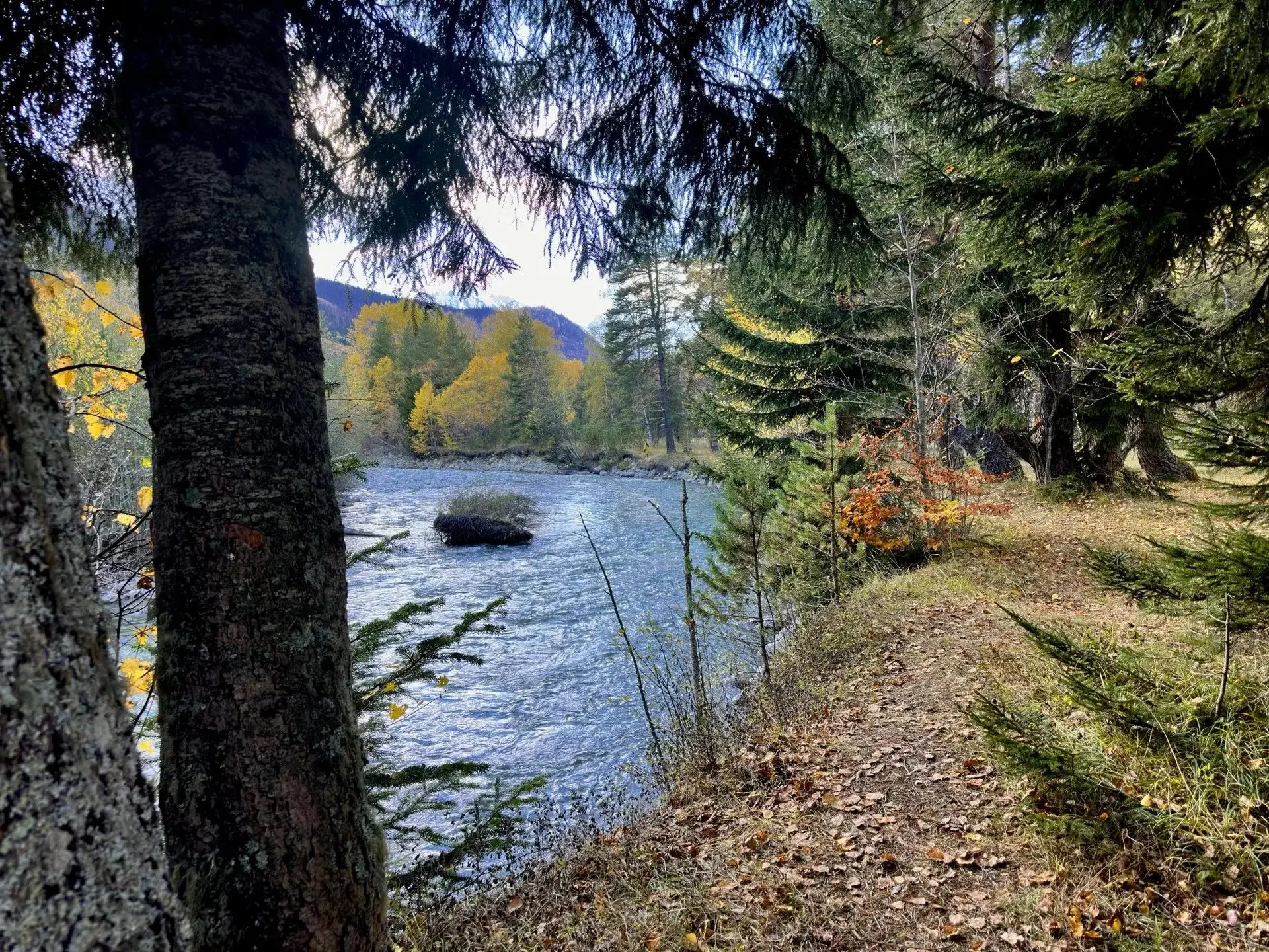 🏔 Домбай осенью — это совсем другое путешествие
