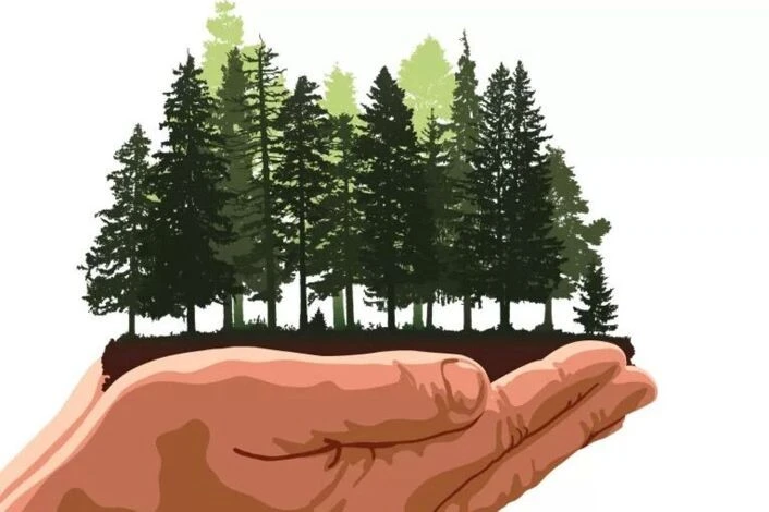 Собственникам предоставлена возможность использовать электронные квитанции