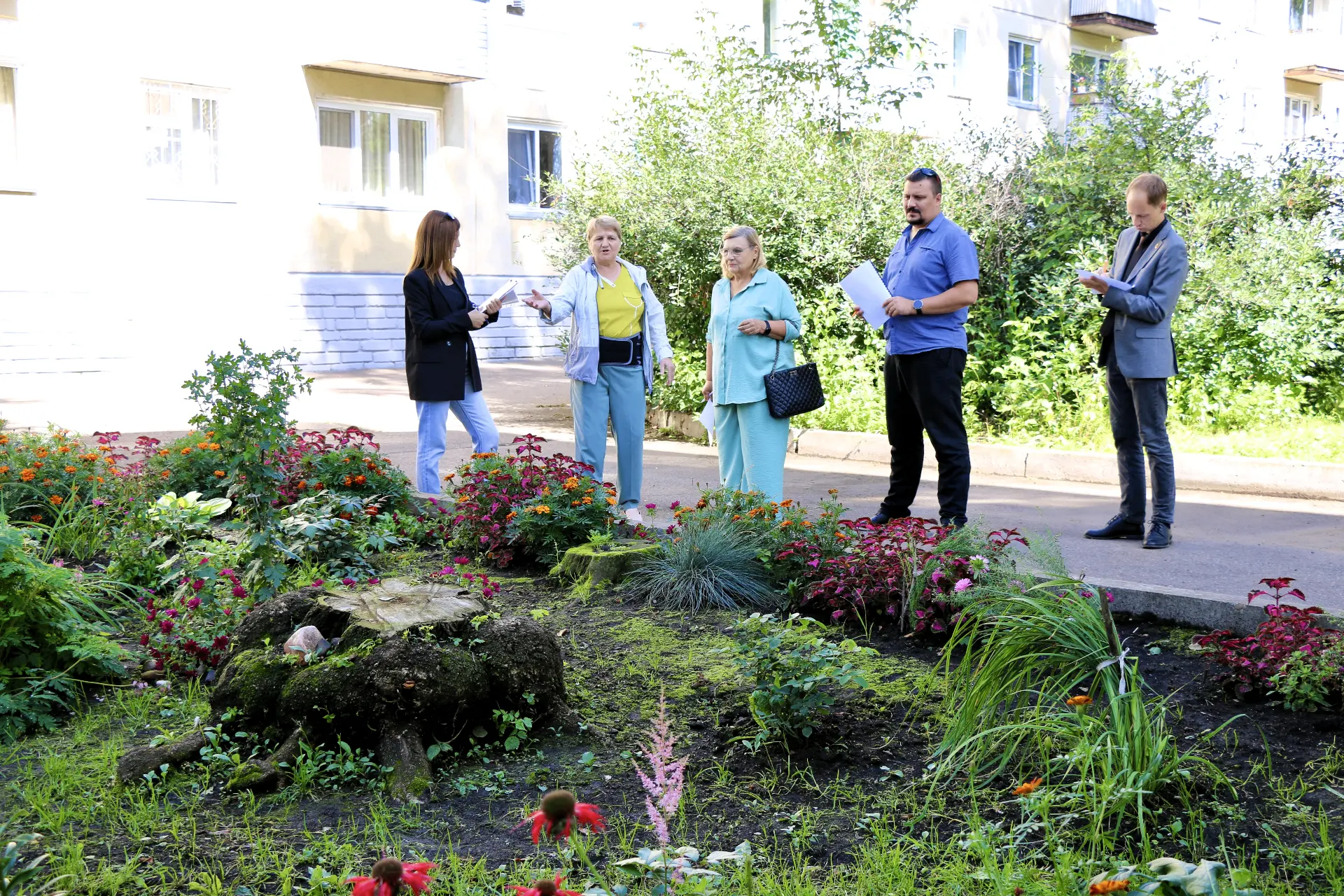 🏡 В поисках лучших дворов Железногорска!