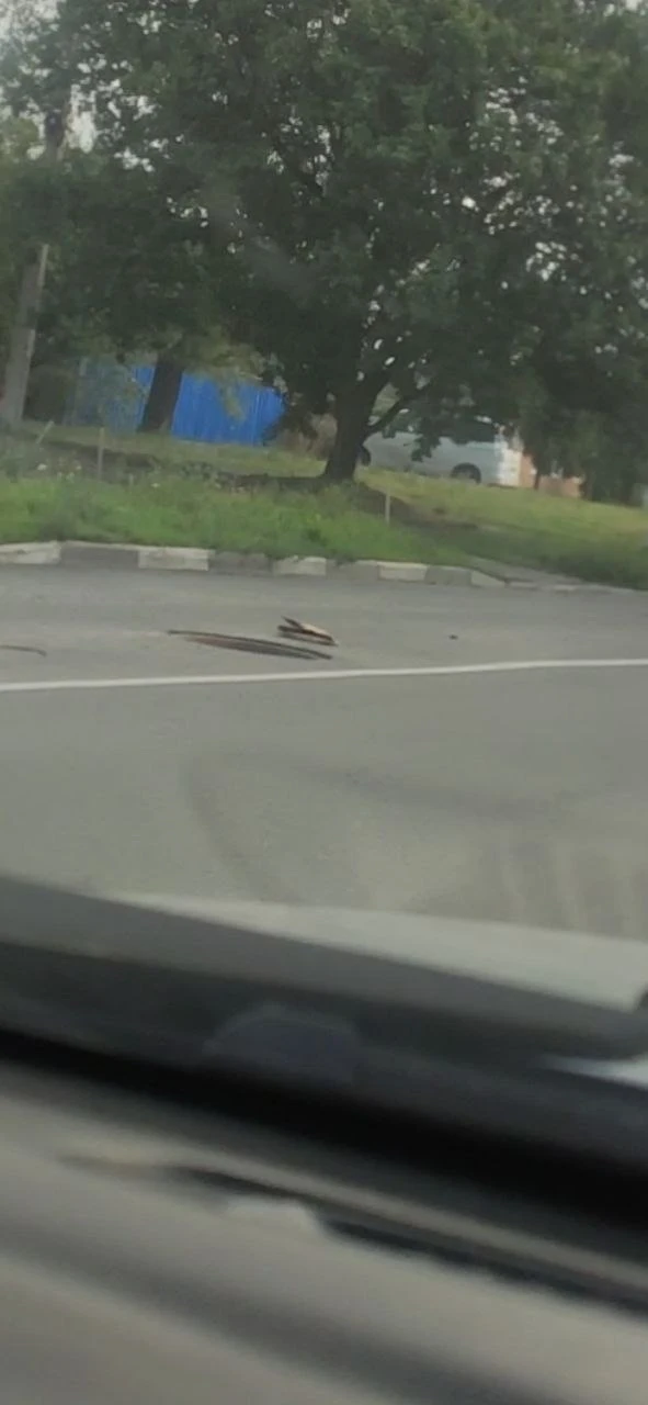 Здравствуйте, опубликуйте пожалуйста: