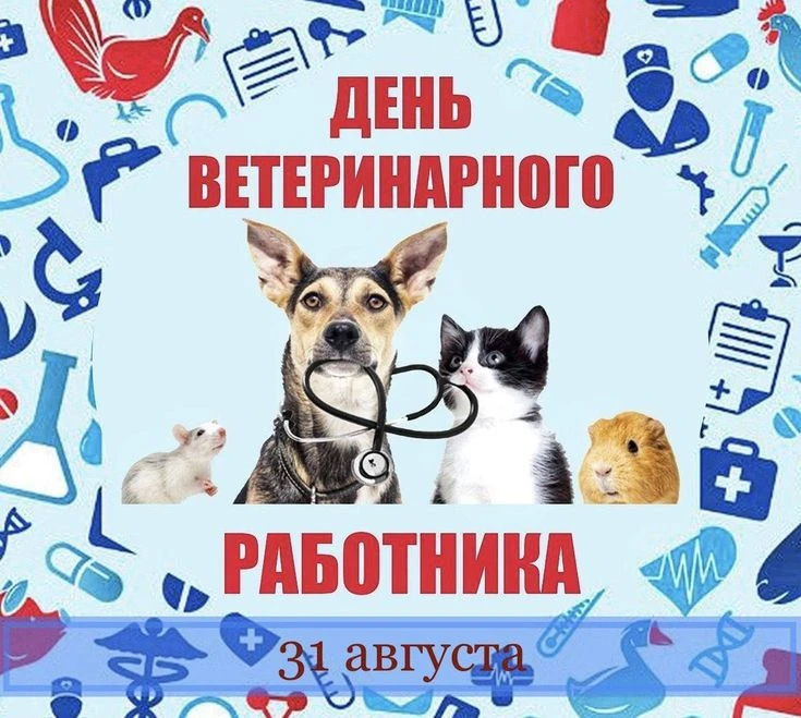 В день ветеринарного работника мы говорим спасибо тем, кто стоит на страже здоровья тех...