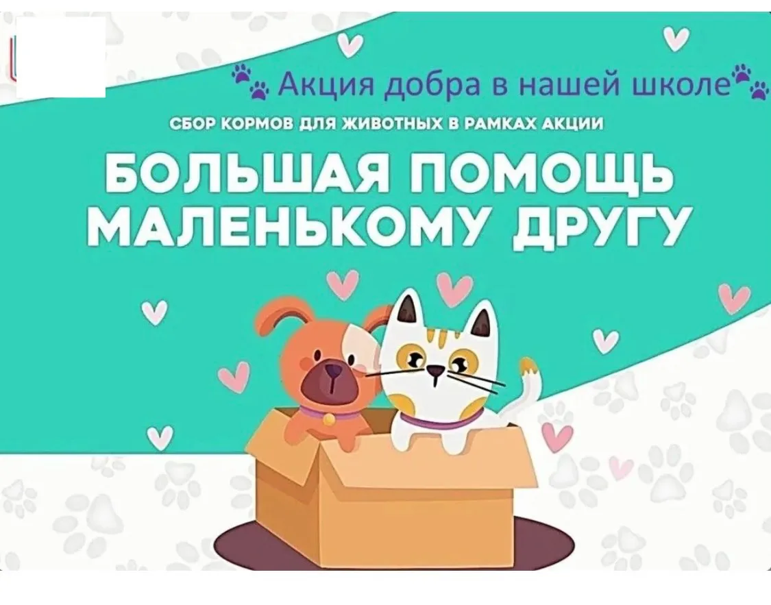 ЛАПКА ПОМОЩИ — ДОБРЫЕ ДЕЛА НАЧИНАЮТСЯ С НАС! ❤️