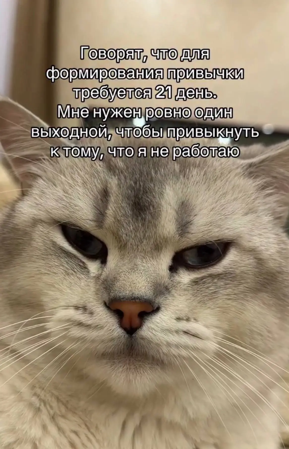 Ловите небольшой лайфхак, который поможет освежить длину волос на второй день после мыт...