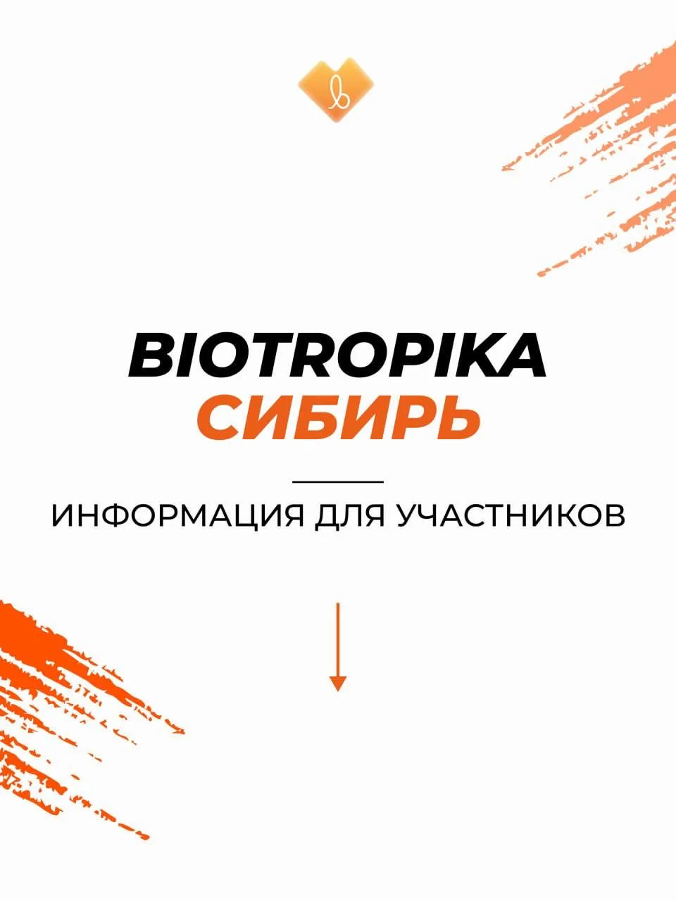 Biotropika Сибирь: организационные моменты