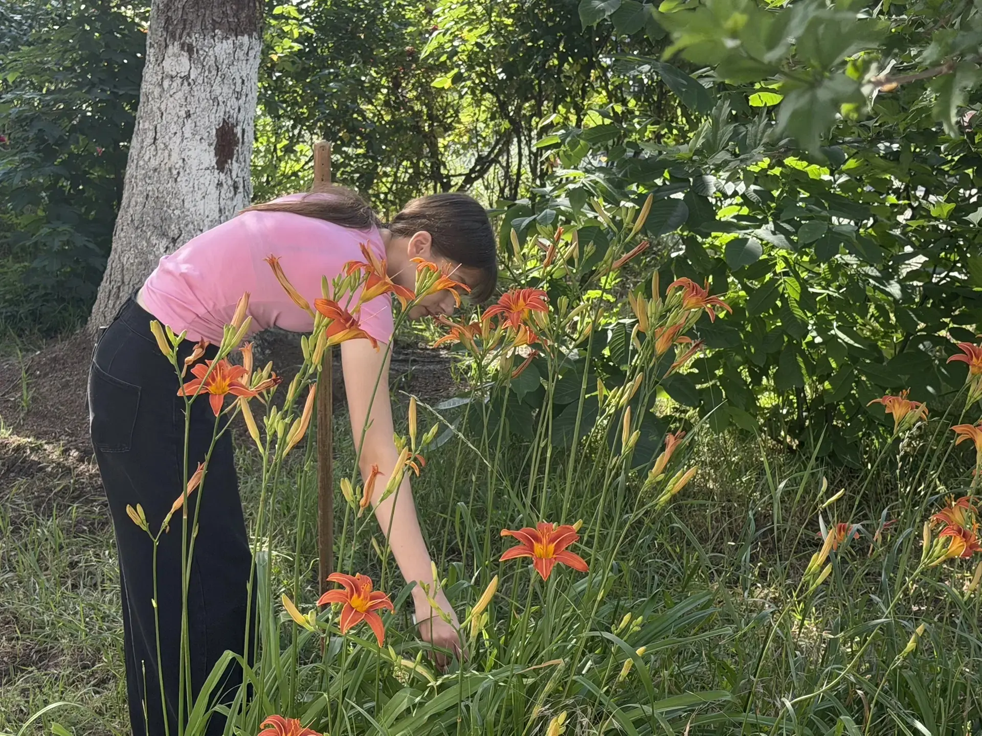 Забота о природе начинается со школьного двора 🌿

Сегодня в нашей школе прошло мероприятие, посвяще