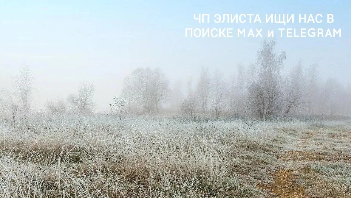 😲Кто бы мог подумать — заморозки в начале октября? Хотя, если честно, Калмыкия в этом ...