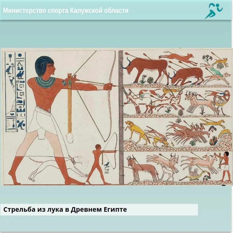 🏹Из древнего оружия в олимпийский спорт!