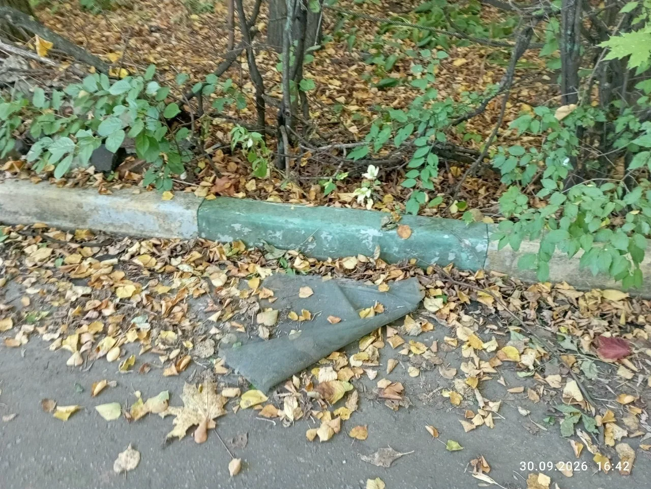 Люберцы, Электрификации, 21 , вторую неделю не проводят уборку двора. А на детской площ...