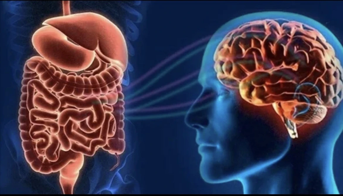 🧠 Стресс и ЖКТ: почему от переживаний «болит живот»? 🫙