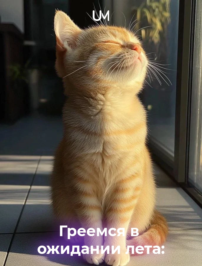 Доброе утро! ☀️