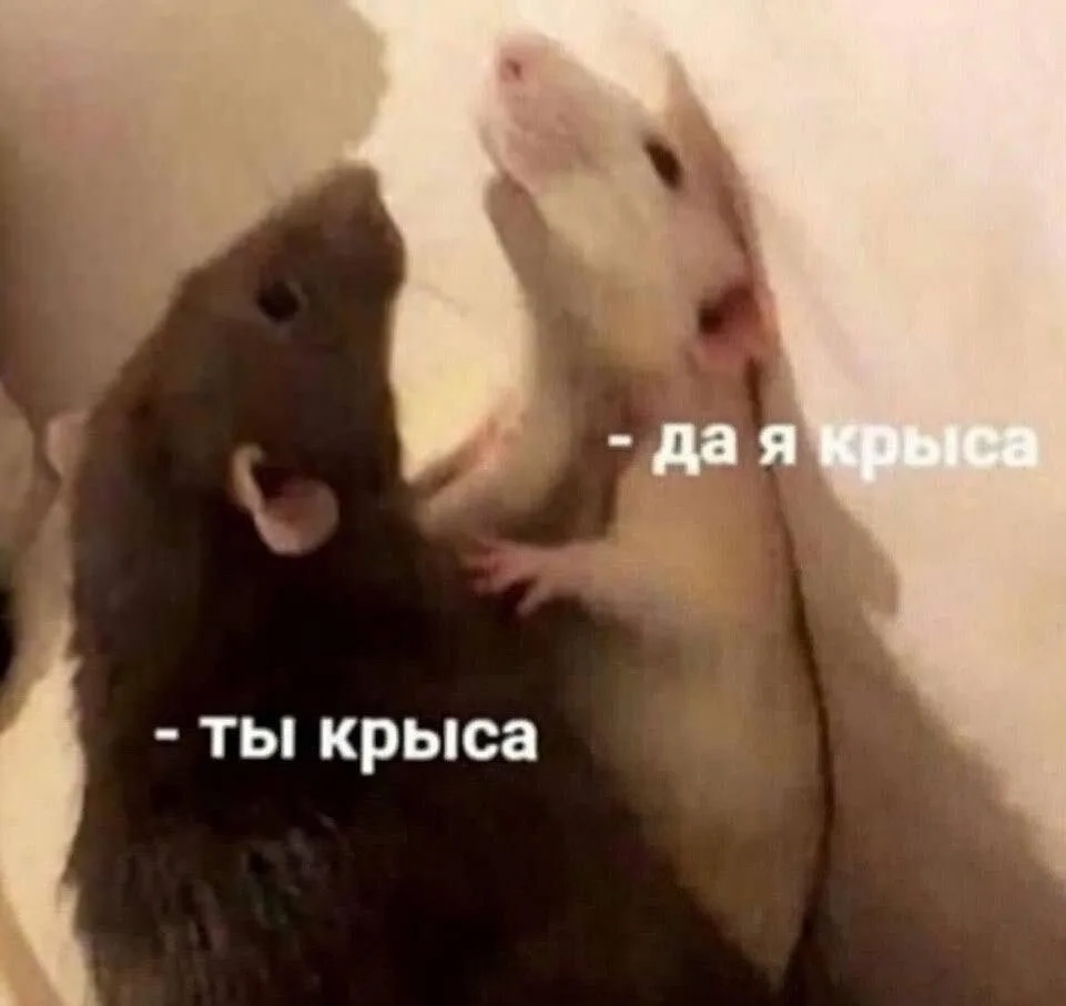 СПЛЕТНИ НА РАБОТЕ УСКОРЯЮТ КАРЬЕРУ 😏