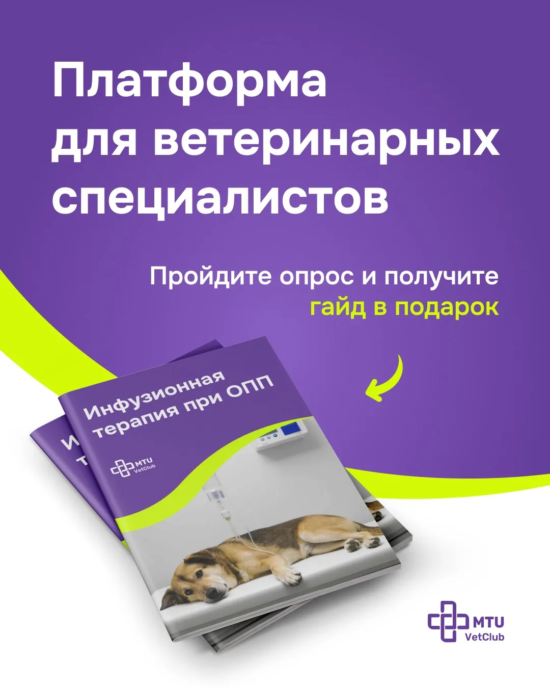 Экосистема, которая объединит владельцев животных и ветеринарных врачей