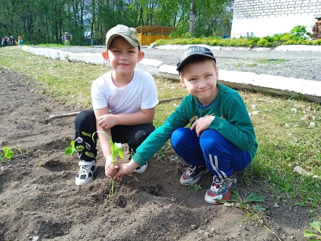 Наш детский огород: как мы высаживали рассаду! 🌱

В этом году на территории нашего детского сада "С