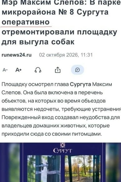 Я что-то не понимаю: почему собаки живут лучше, чем люди? А когда на наши просьбы будут...