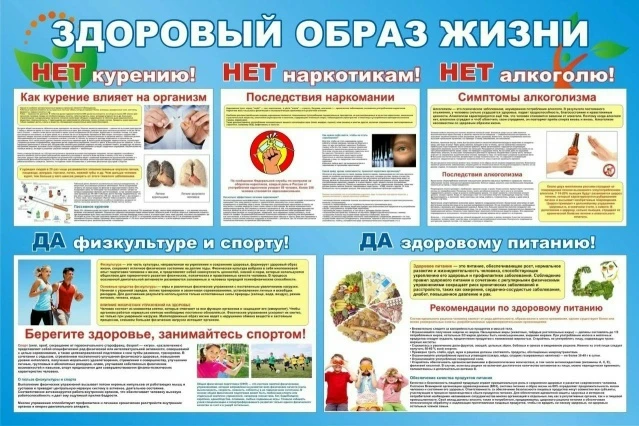 Здоровый образ жизни (ЗОЖ) представляет собой комплекс устойчивых привычек и моделей по...