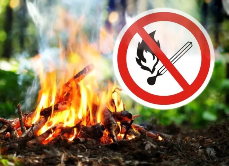 🔥С 1 июня в ДНР введён особый противопожарный режим