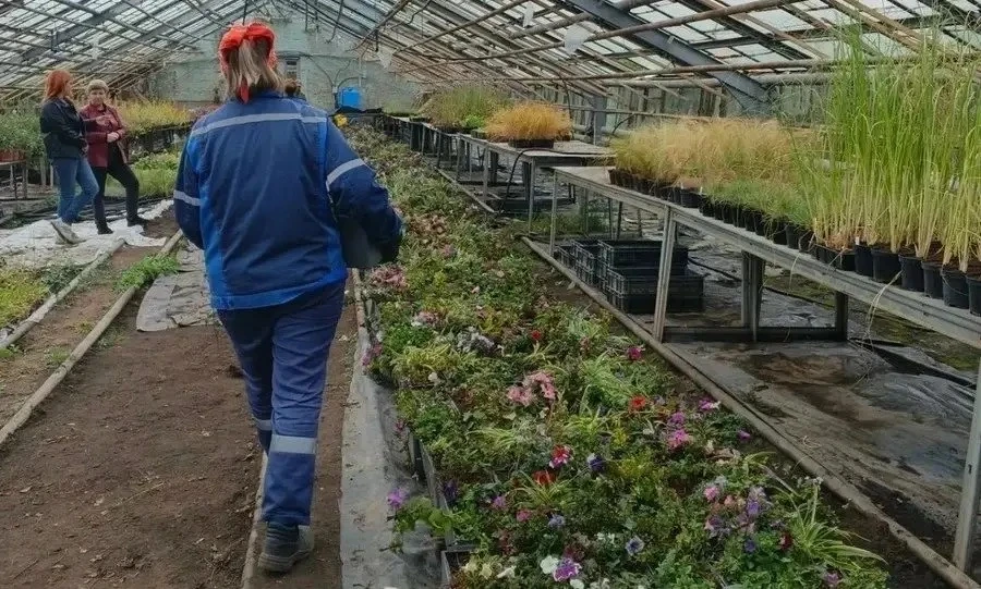🌿 С улиц Орла убирают летние цветы перед холодами