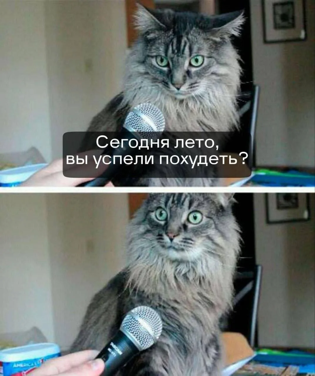Давайте уже к Новому году, торопиться некуда