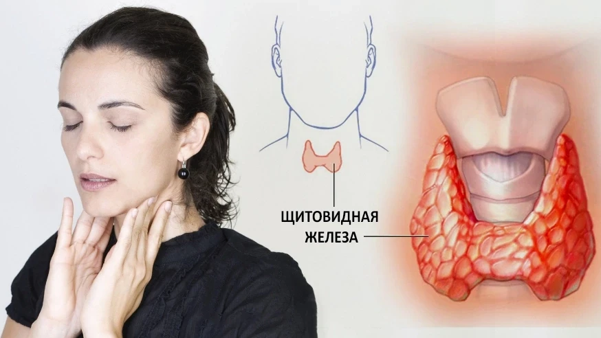 18-25 мая - неделя профилактики заболеваний эндокринной системы.