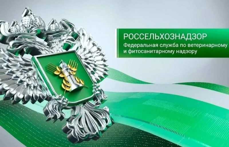 Россельхознадзор приостановил обращение нескольких серий вакцин для собак "Мультикан".