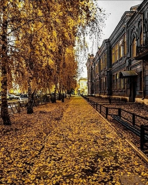 Впереди золотая осень 🧡