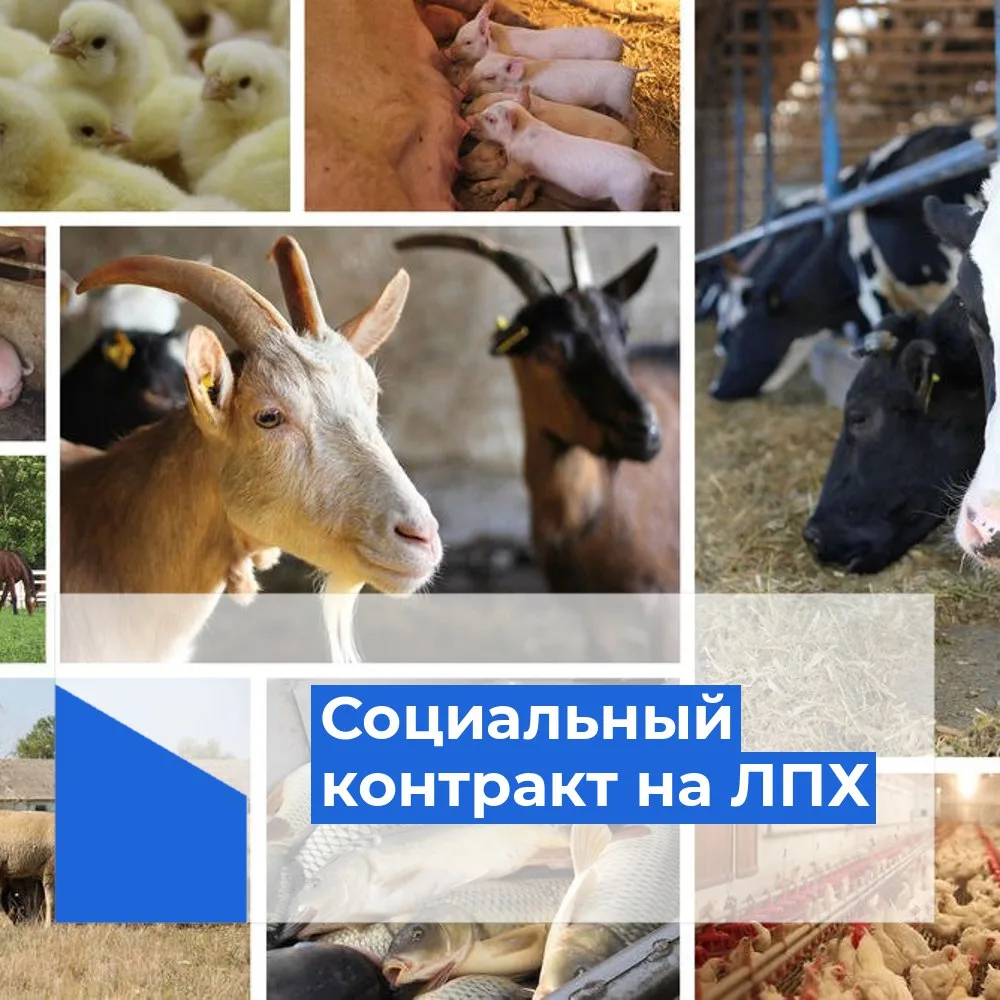 Уважаемые жители Орловского района!