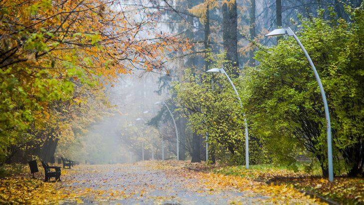 🍁 Доброе утро, соседи!