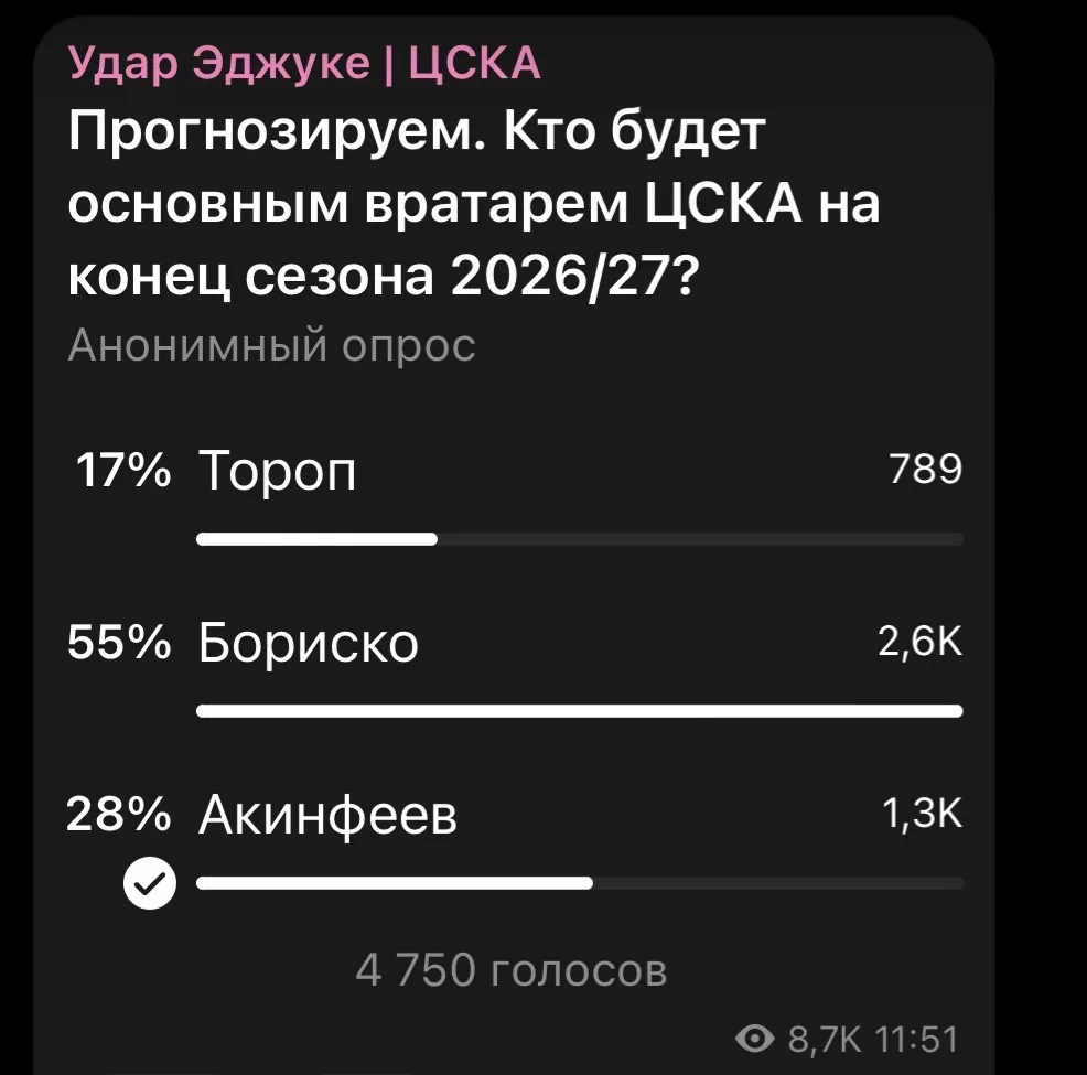 Бориско - это хорошее подписание. Достойный вратарь никогда не будет лишним. Вчера запустил опрос и 