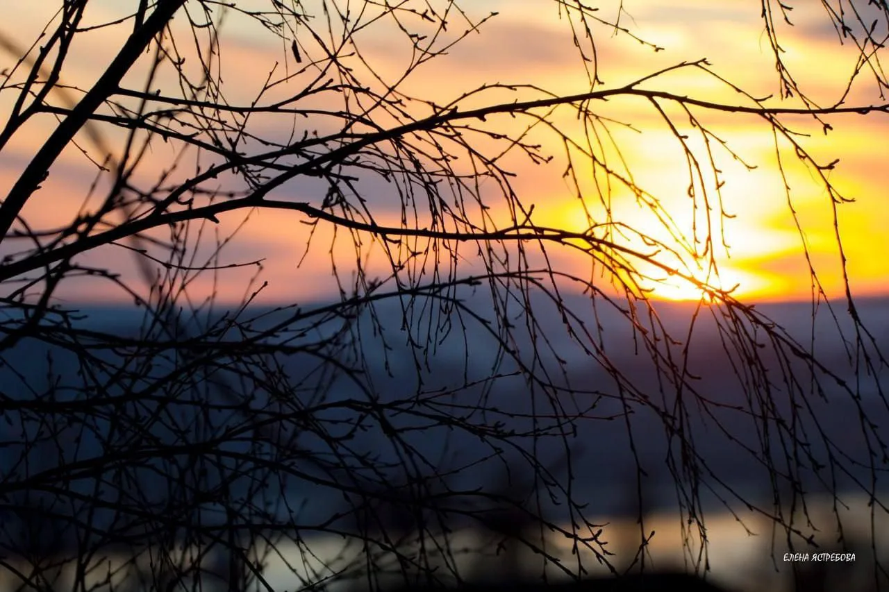 На закате майского дня😍  📷Елена Ястребова.
