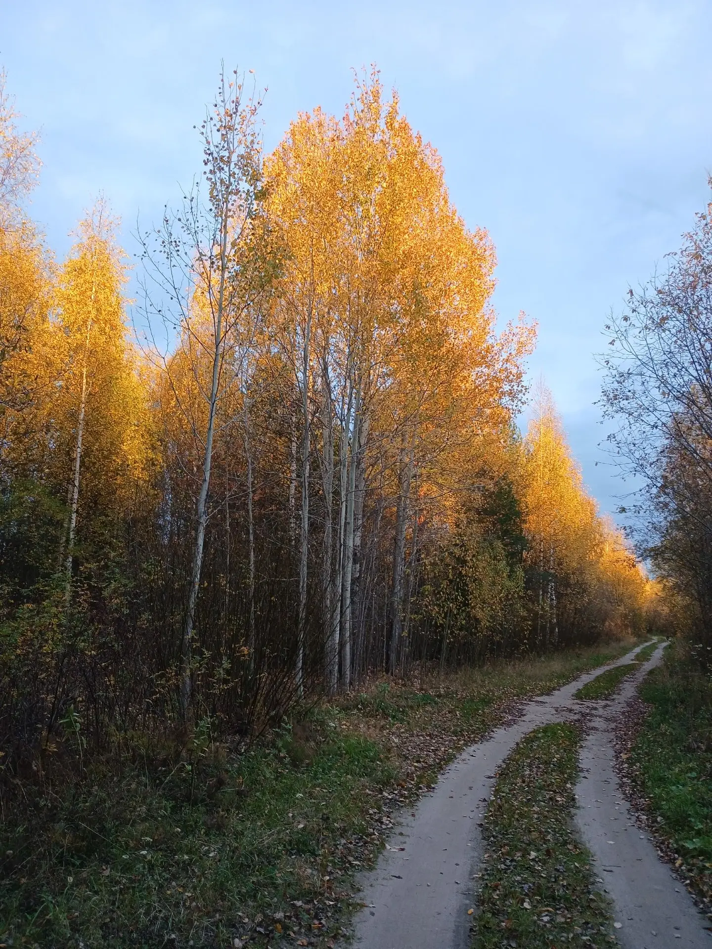 Какая же красивая осень у наших подписчиков! 😍🍁