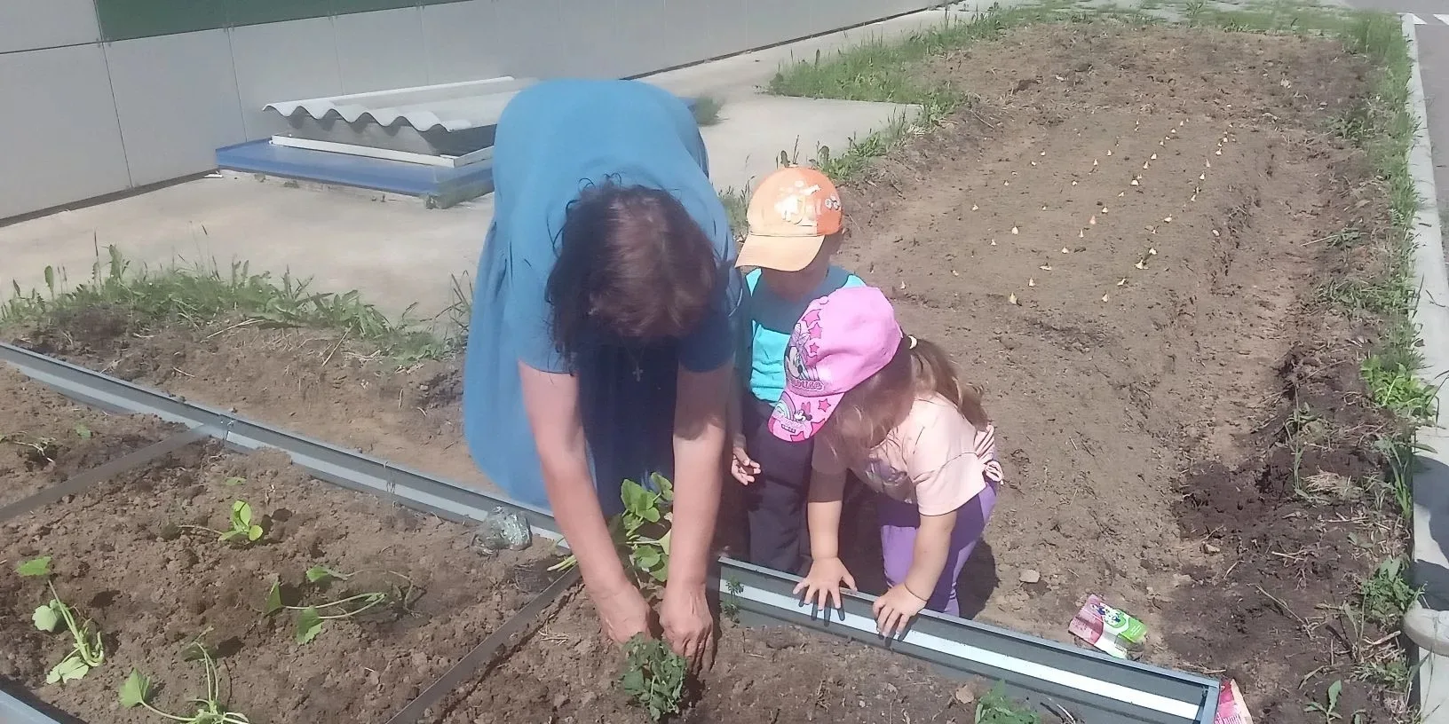 🌻Этим летом возле садика появился свой огород🌻

👦Каждой группе дали свою грядку, где посадили лук