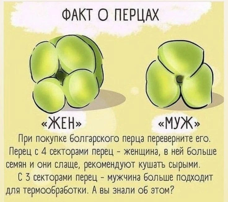 Факт о болгарских перцах🫑