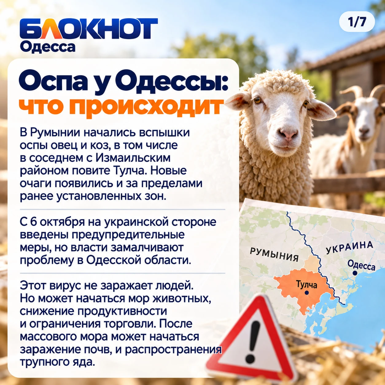 🐑 Эпидемия оспы началась у Одесщины: что будет дальше?